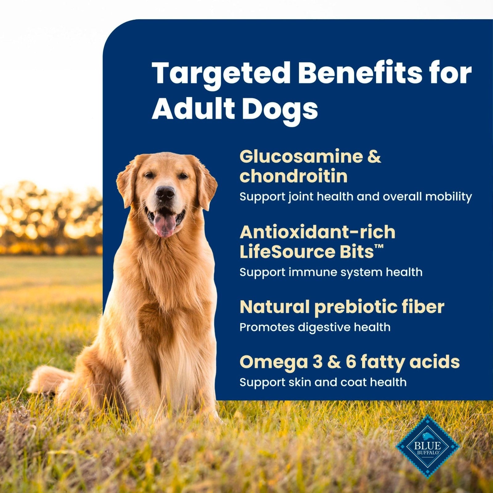 Premium Beef Adult Dry Dog Food, 40 lb   Life Protection Formula, Nutrient Rich3