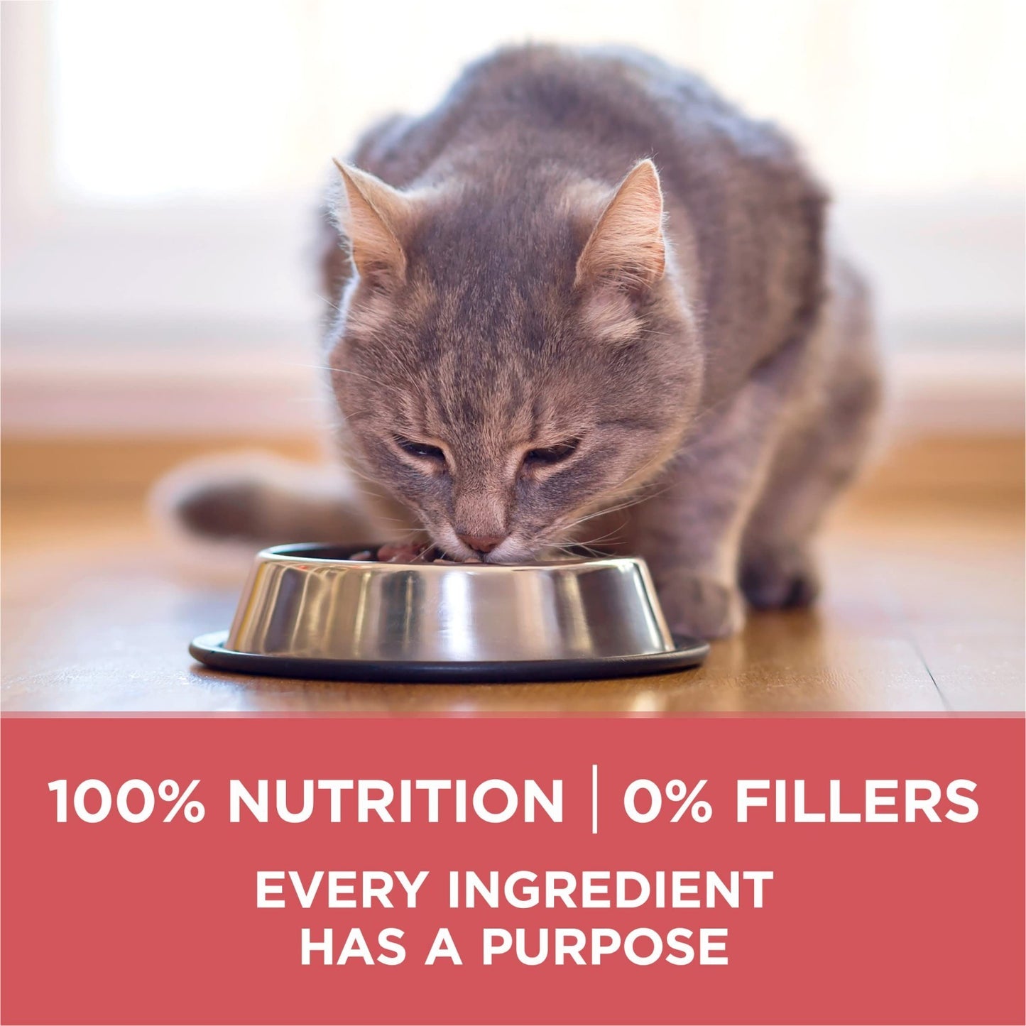 Natural Low Fat Indoor Cat Food, High Protein Weight Control with Real Salmon  5