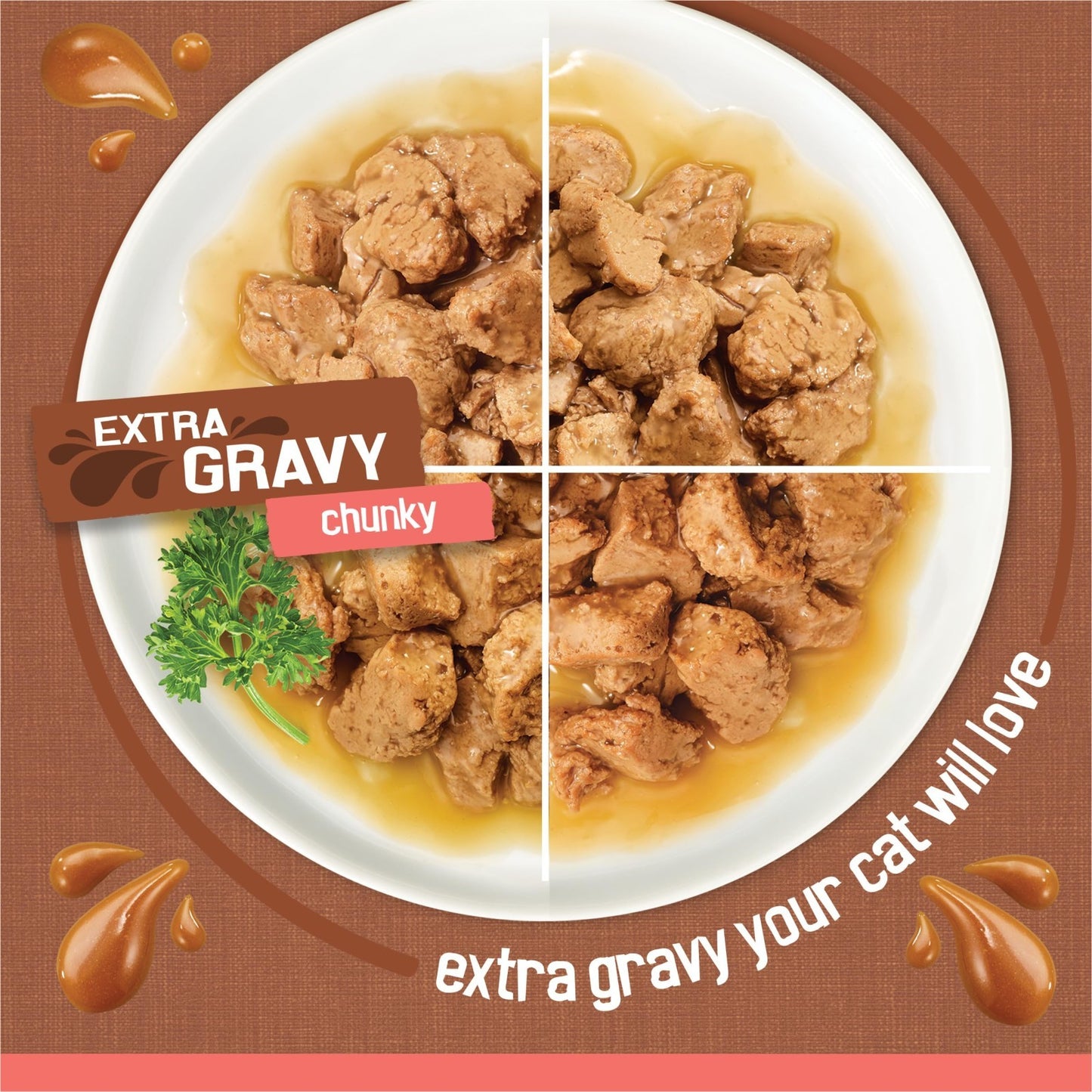 Chunky Wet Cat Food Variety Pack 24ct   Extra Gravy Chicken, Turkey, Salmon, Bee3