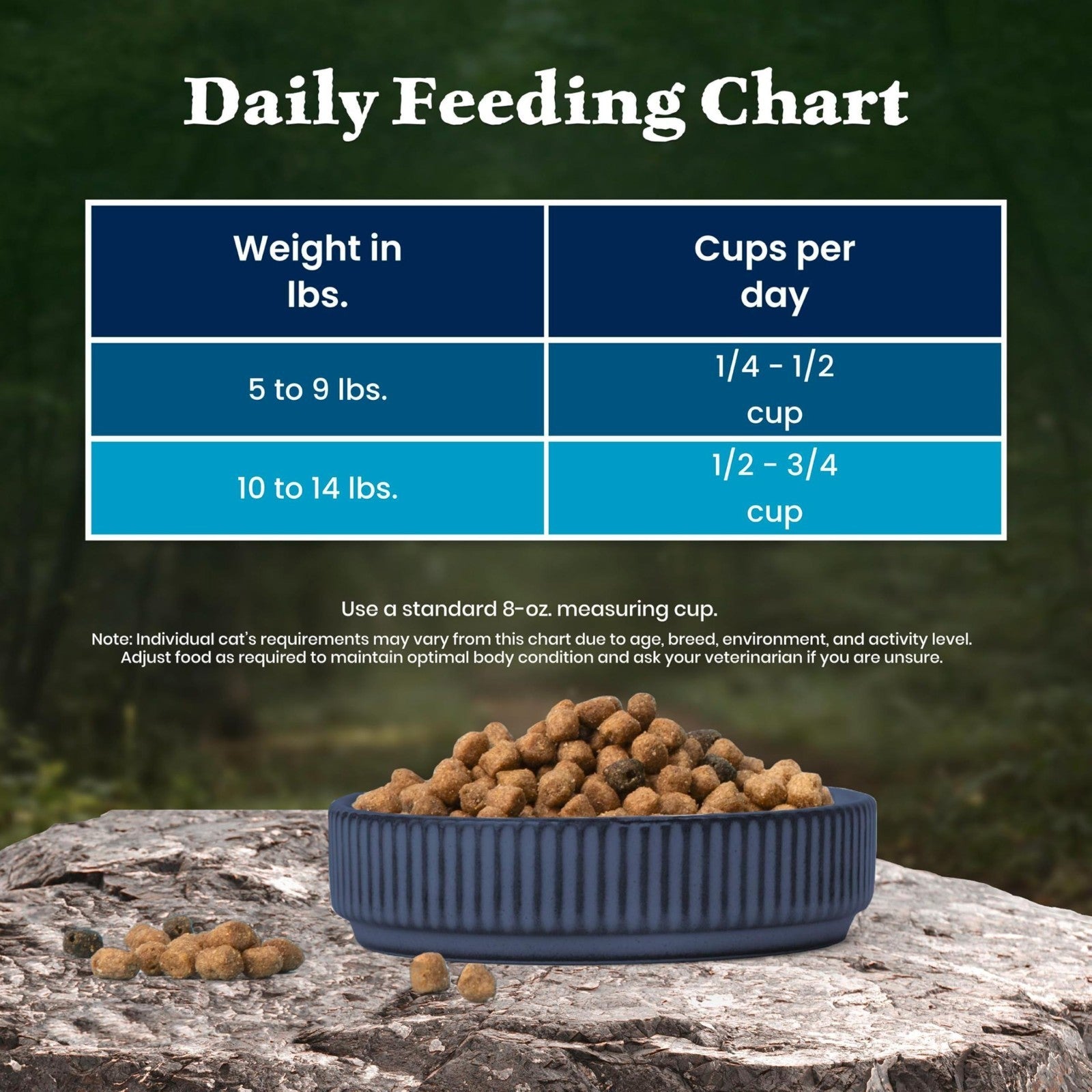 Grain Free Salmon Adult Dry Cat Food, High Protein, 15 lb   Natural & Healthy Di8