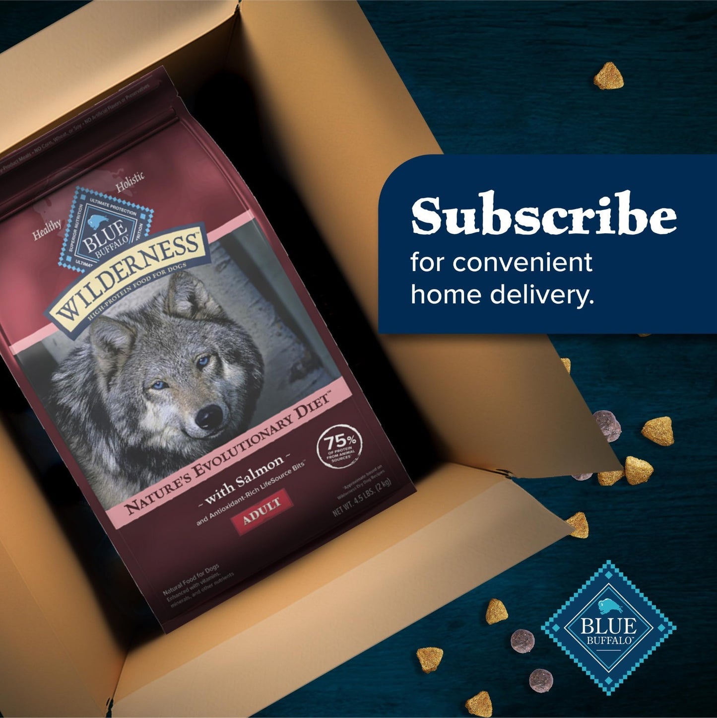 Grain Free Salmon & Wholesome Grains Adult Dry Dog Food, 28 lb   High Protein, H10
