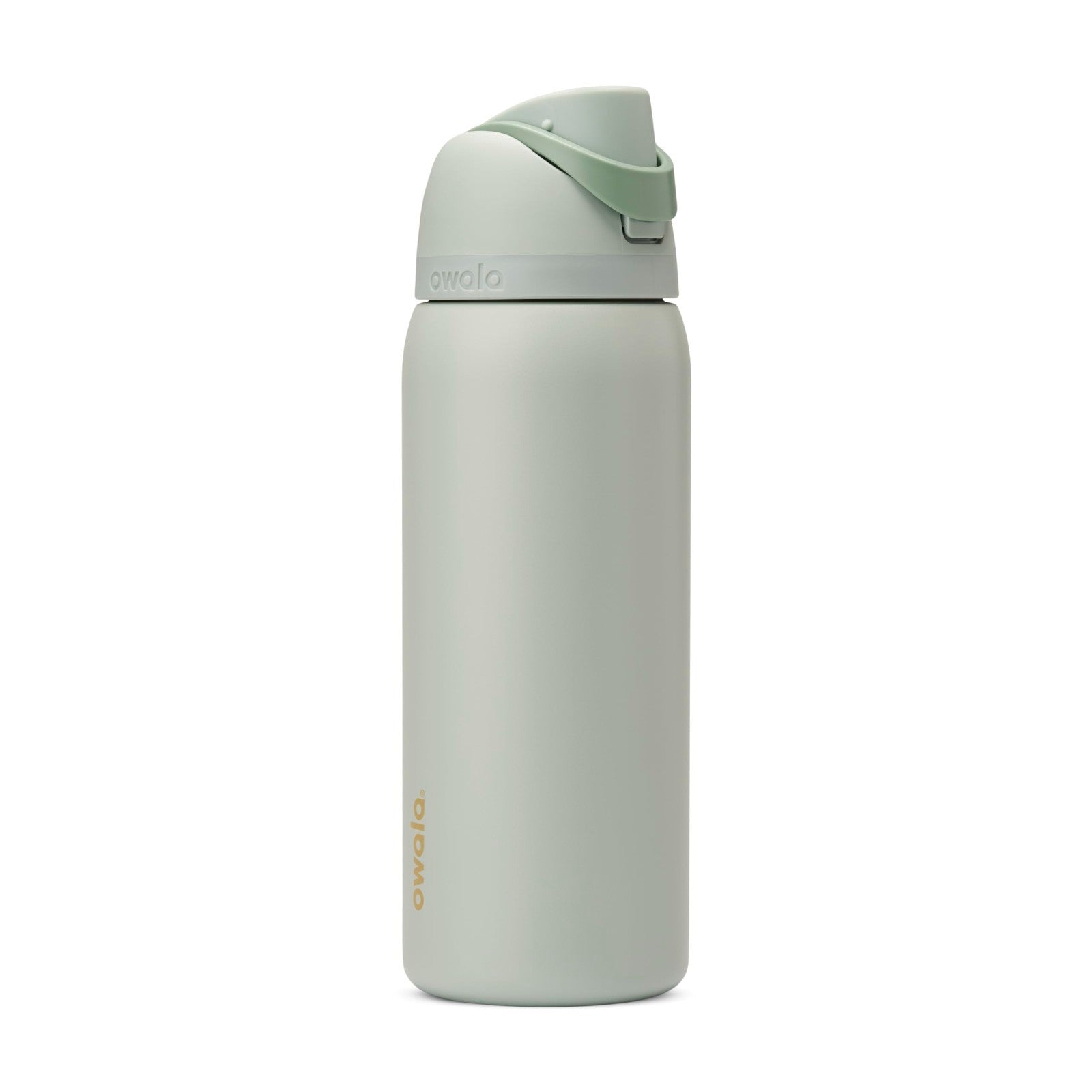 Insulated Stainless Steel Water Bottle 32 Oz with Straw, BPA Free, Travel Friend1