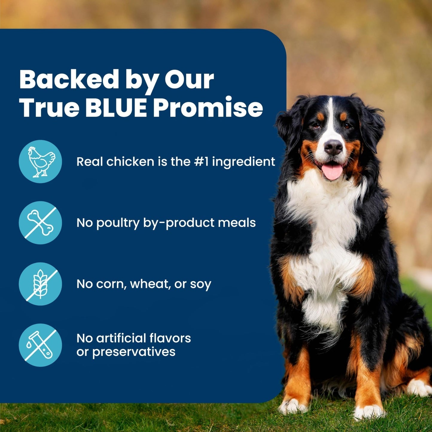 Premium Chicken Adult Dry Dog Food, 5 lb   Life Protection Formula, Healthy Nutr5