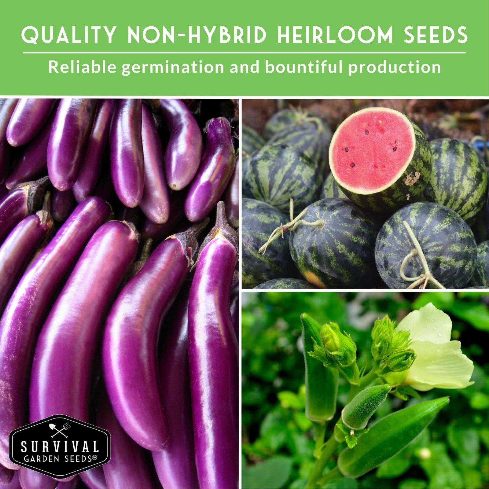 Heirloom Southern Vegetable Seeds Collection - 15 Heat-Loving Varieties for Gard3