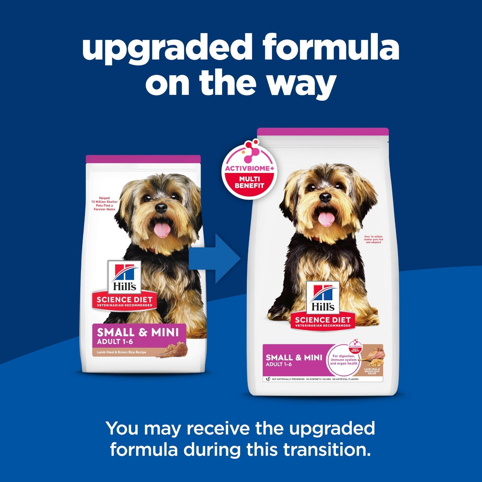 Premium Small & Mini Dry Dog Food for Adults 1 6 Years   Nutrient Rich Formula2