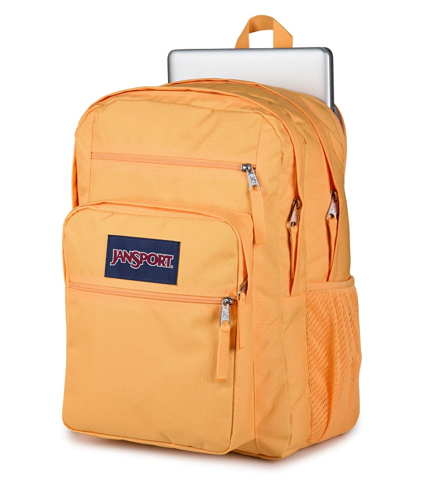 Laptop Backpack for 15" Computer, Ergonomic Straps, 2 Compartments, Haul Handle3