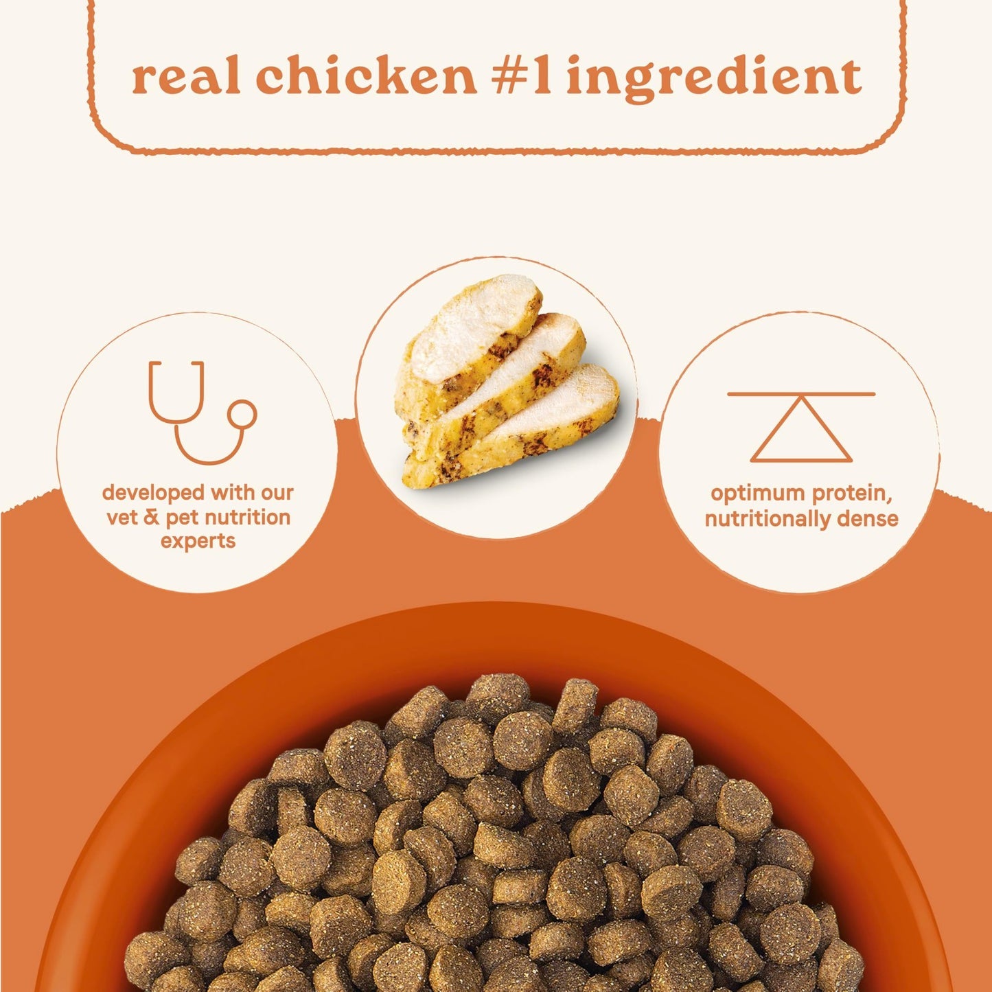 All Life Stages Dog Food, Real Chicken & Ancient Grains, 5 lb Bag   Healthy Nutr2