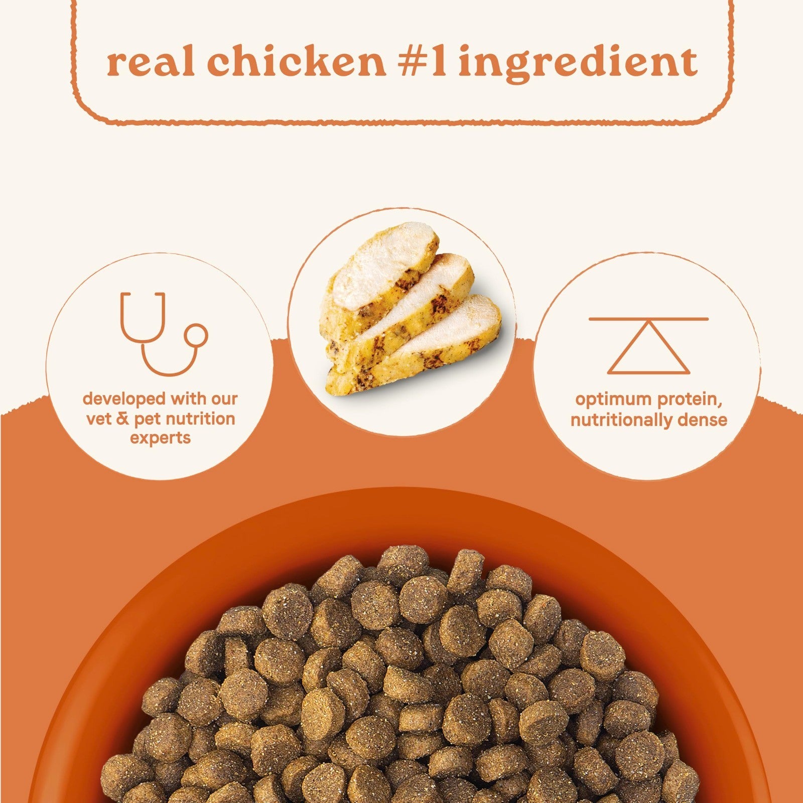 All Life Stages Dog Food, Real Chicken & Ancient Grains, 5 lb Bag   Healthy Nutr2