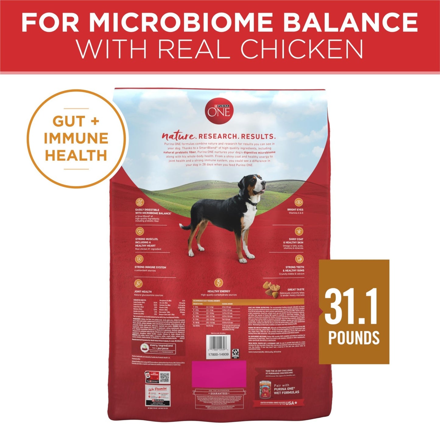 Premium Chicken & Rice Dry Dog Food, 31.1 lb   Healthy Nutrition for All Breeds8