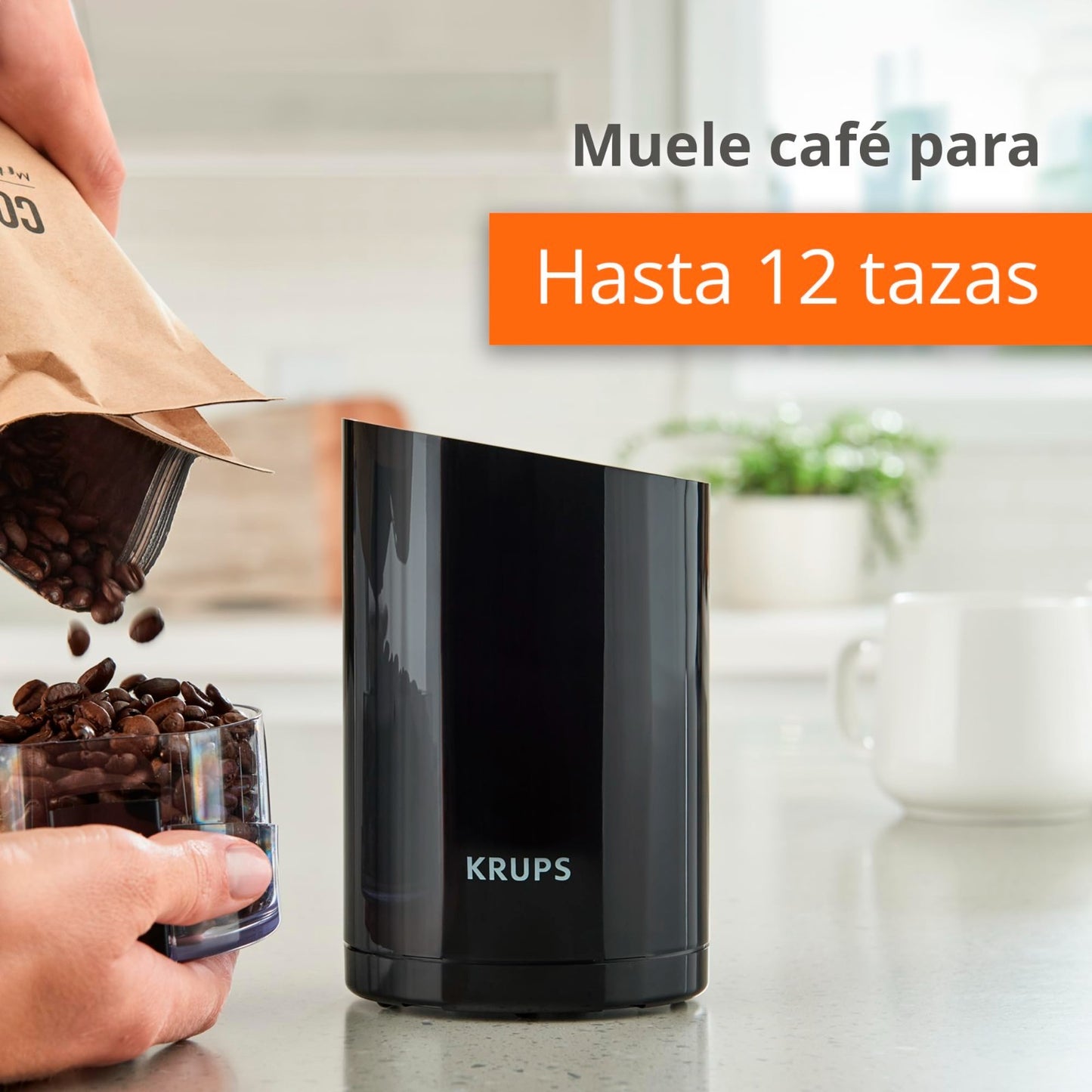Electric Coffee Grinder, 3 oz Capacity, 200W Motor, Stainless Steel Blades, Spic6