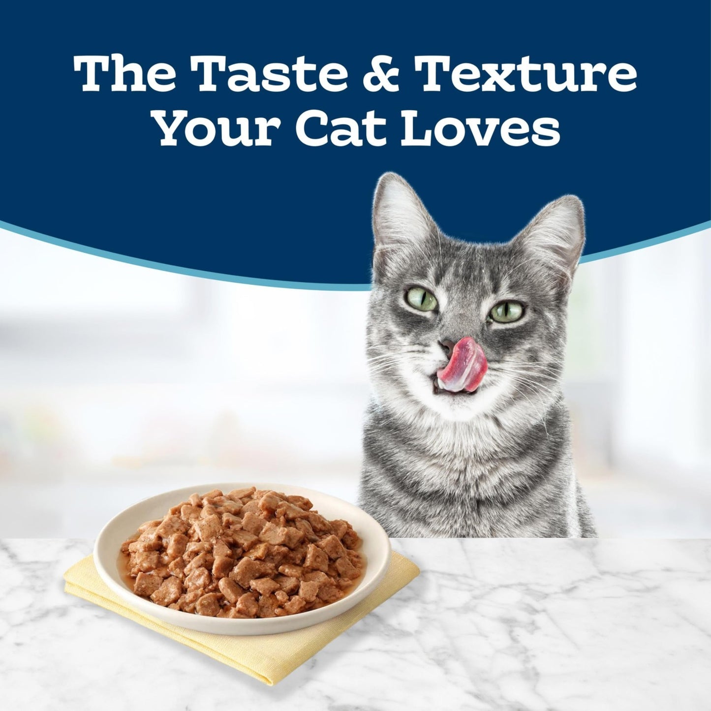 Natural Tender Morsels Wet Cat Food, Chicken Entrée, 5.5 oz Cans, 24 Pack4