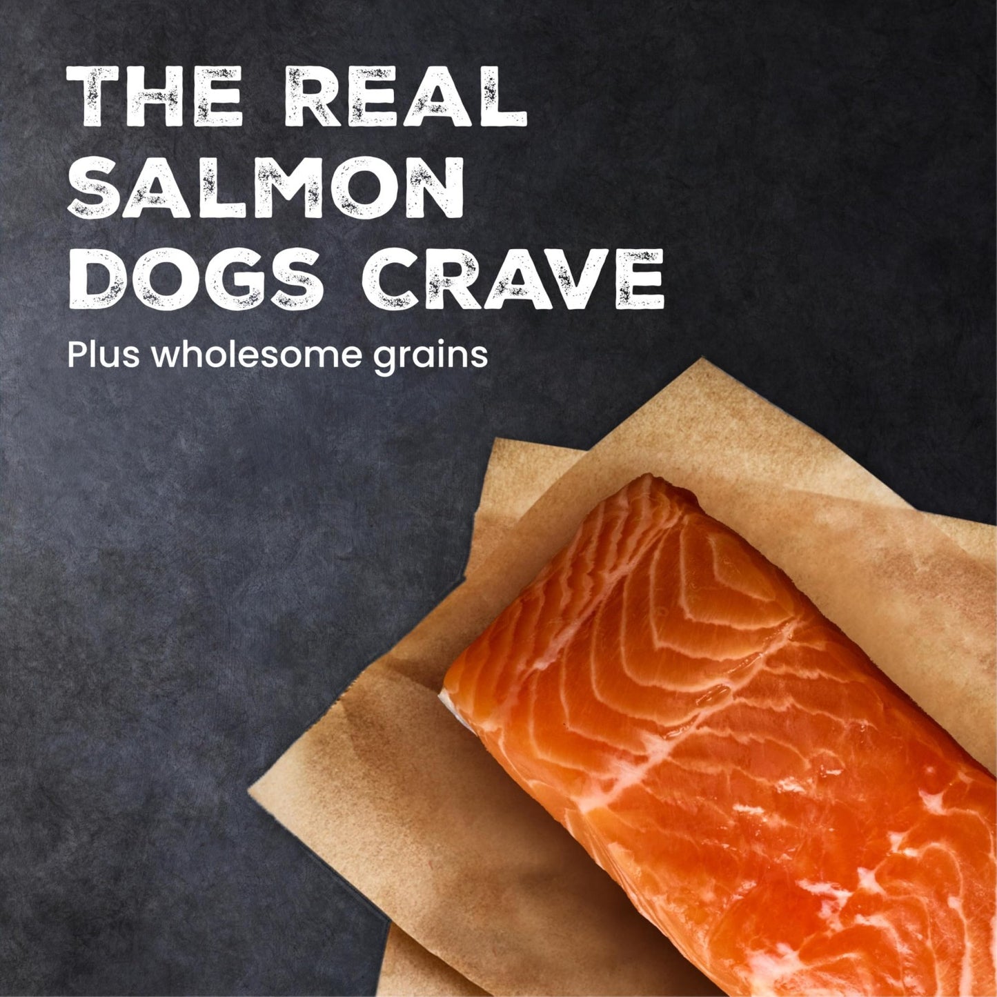 Grain Free Salmon & Wholesome Grains Adult Dry Dog Food, 24 lb   High Protein, N1
