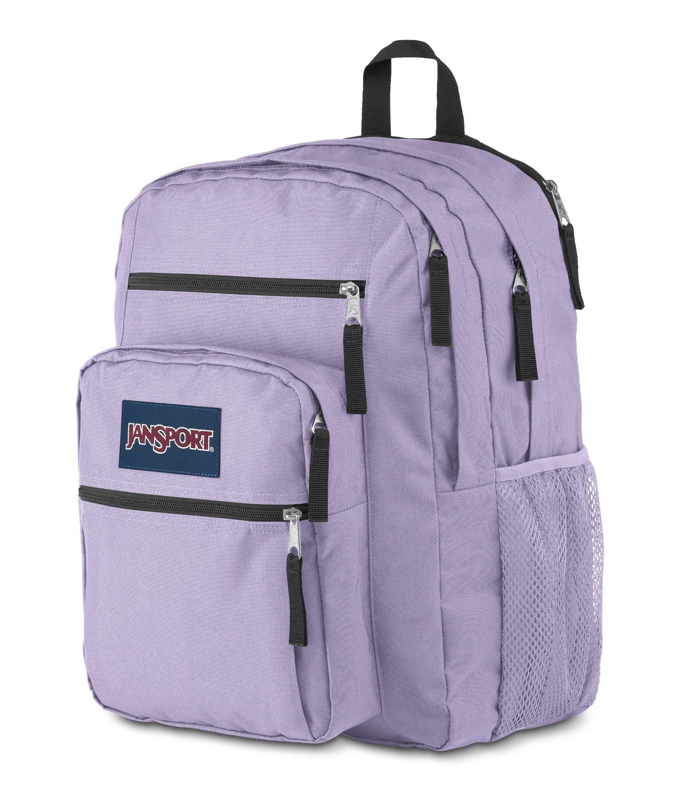 Ergonomic Laptop Backpack with 2 Compartments, 15” Sleeve, Haul Handle   Pastel6