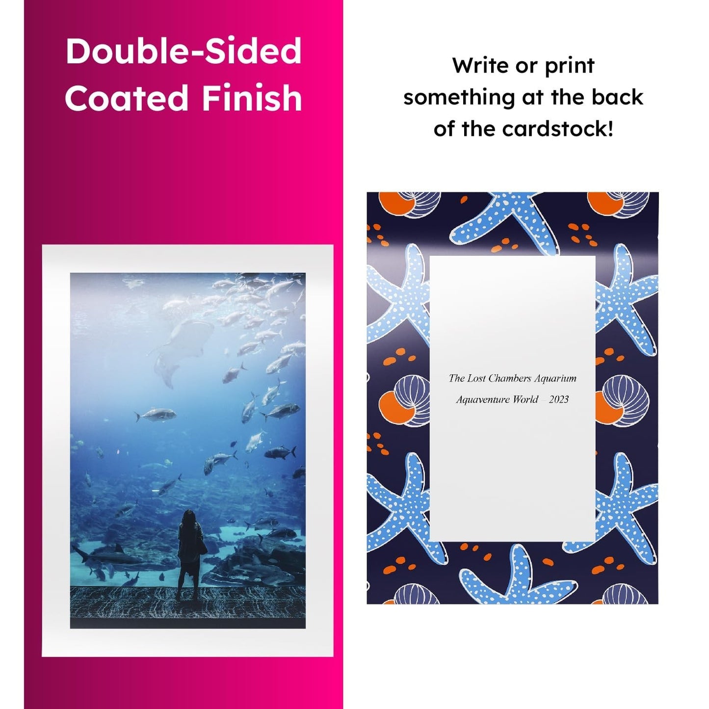 100lb Low Gloss Cardstock 11"x17" - Double Sided Coated Paper for Printing, Flye3
