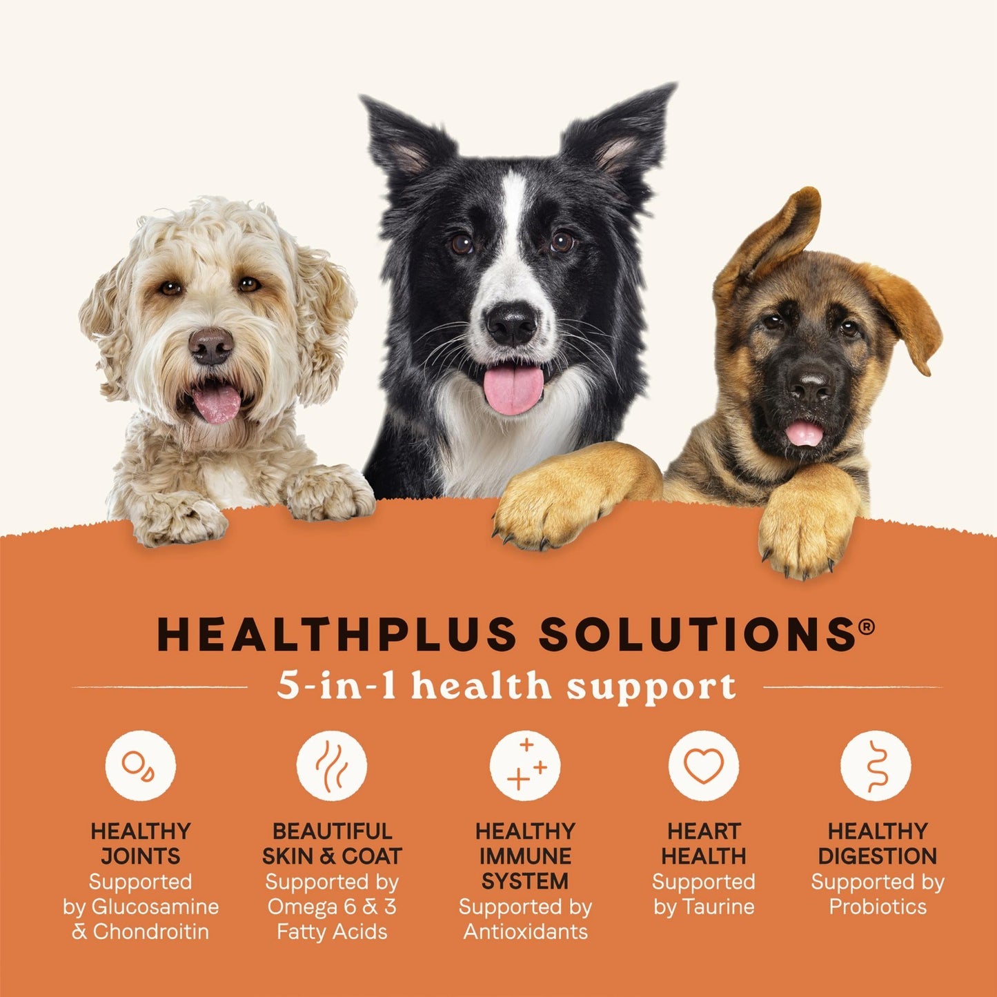 All Life Stages Dog Food, Real Salmon & Ancient Grains, 27 lb   Healthy Nutritio2