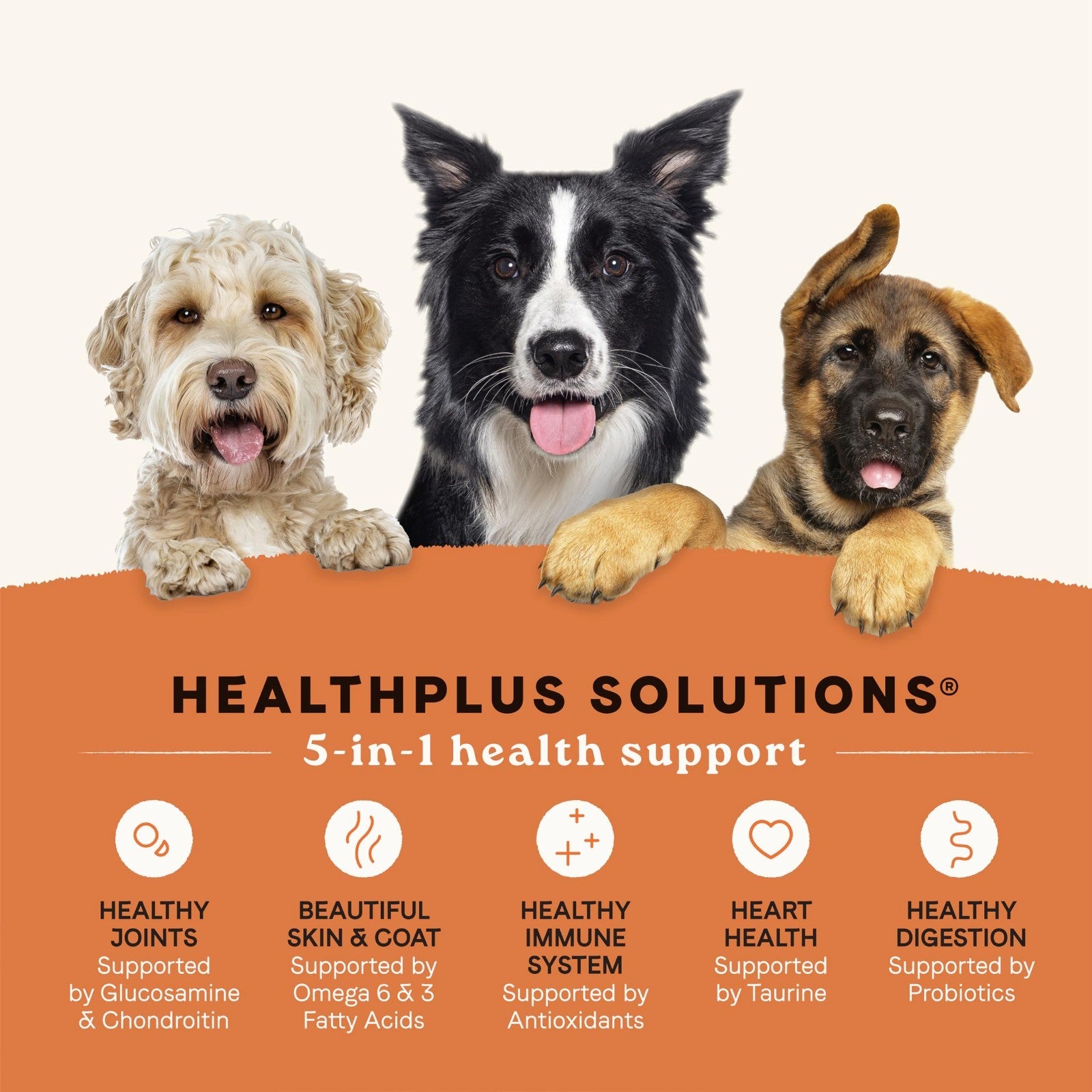 All Life Stages Dog Food, Real Salmon & Ancient Grains, 27 lb   Healthy Nutritio2