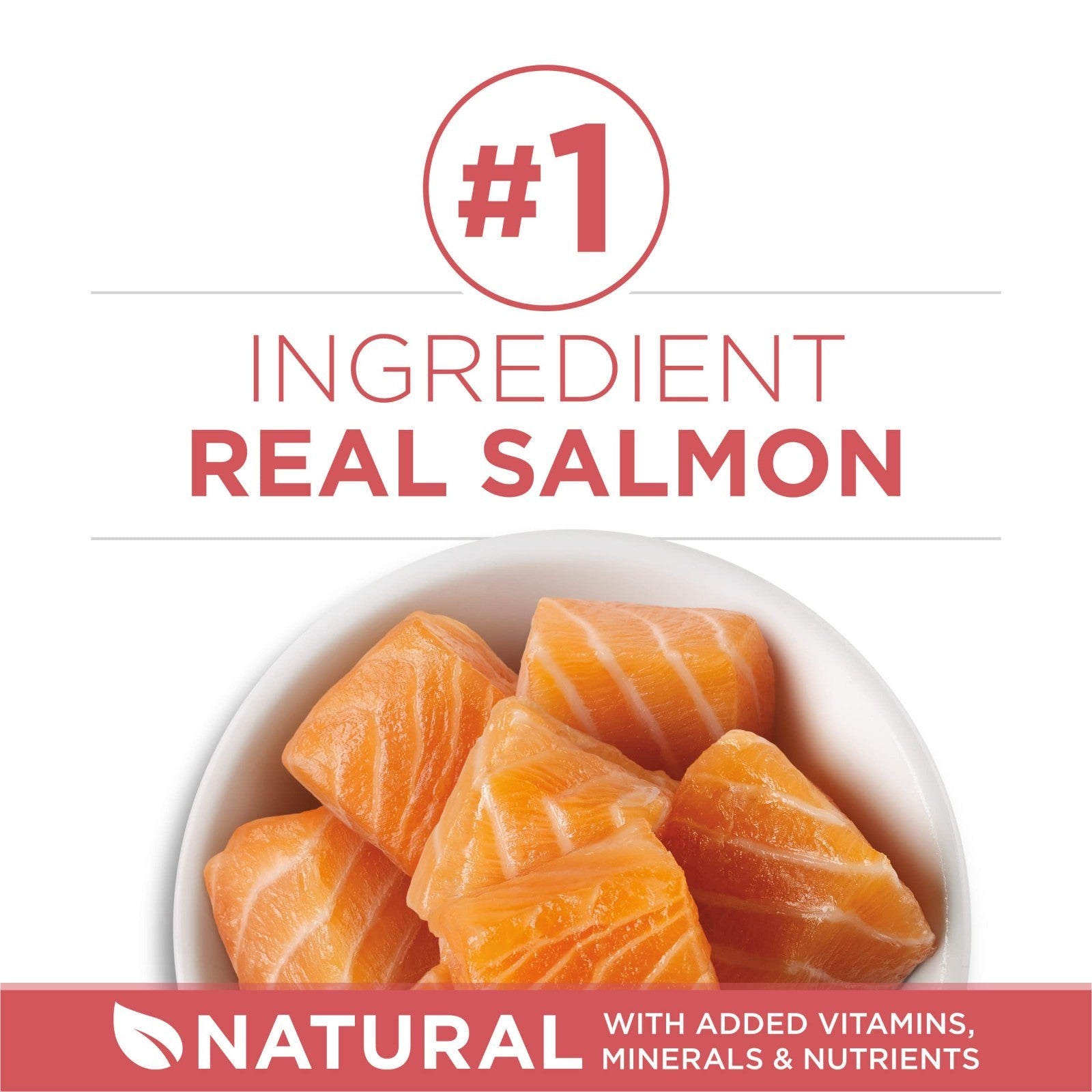 Natural Low Fat Indoor Cat Food, High Protein Weight Control with Real Salmon  1