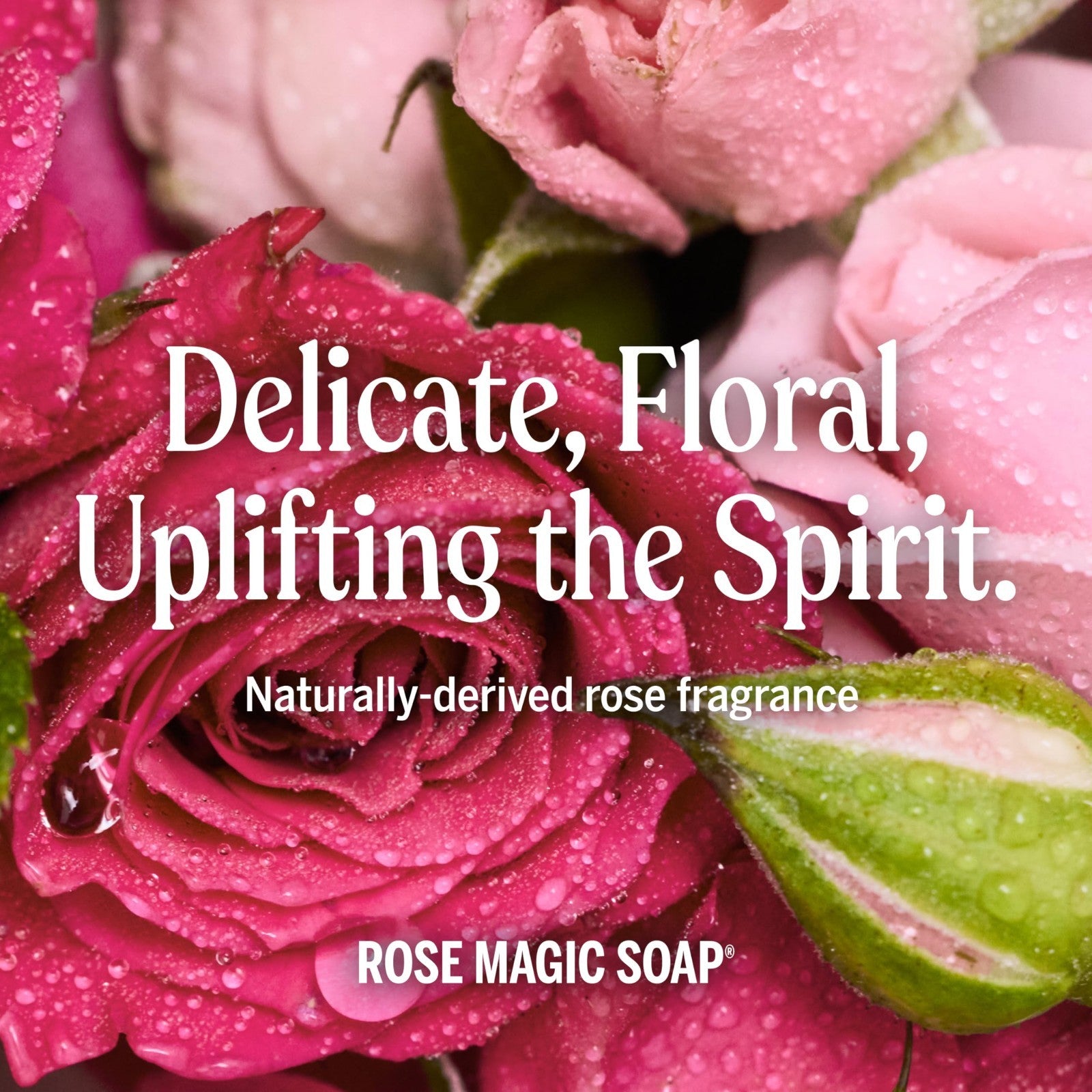 Pure Castile Liquid Soap Refill - Rose Scent, 32 oz - Organic, Vegan, Multi-Use5