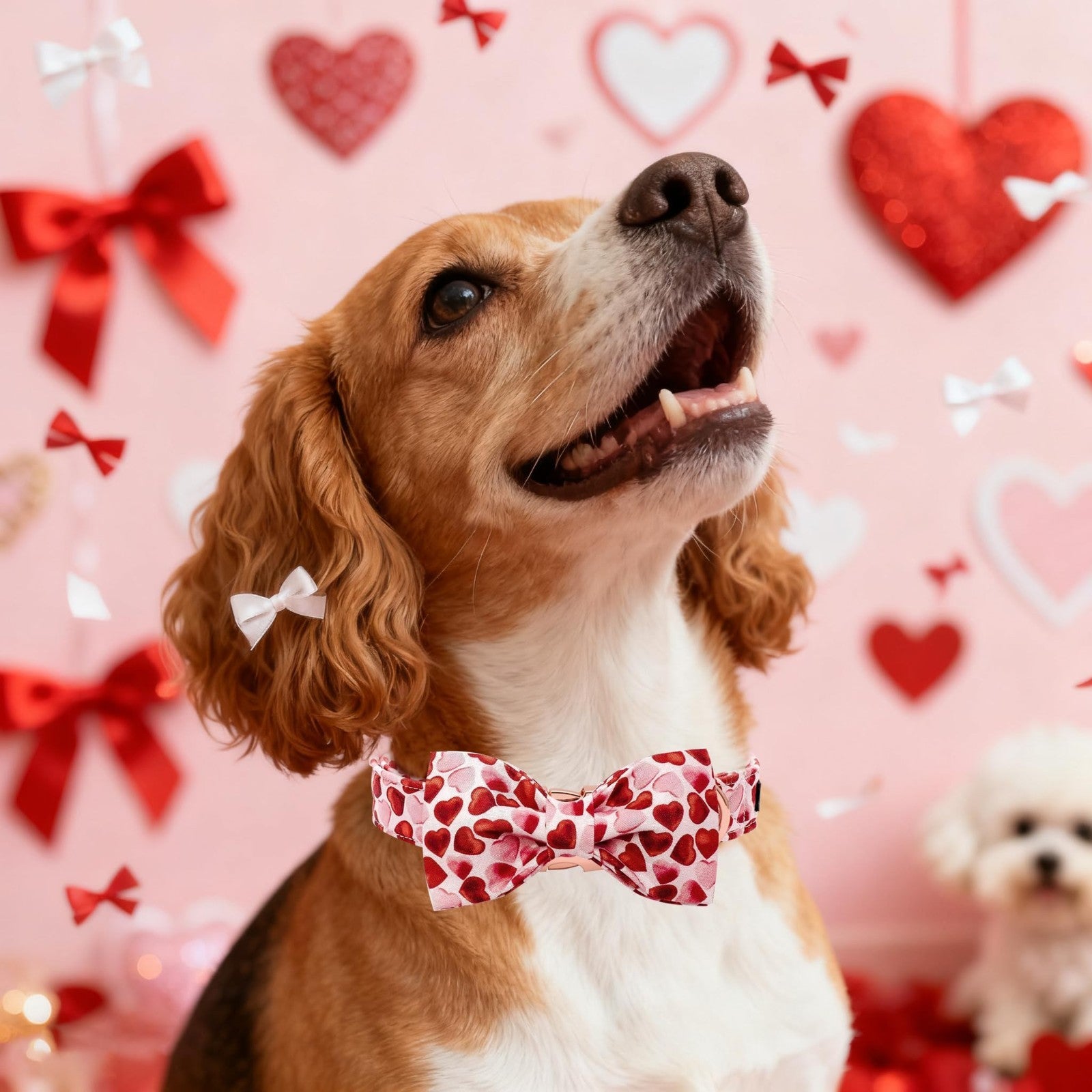 Valentine's Day Dog Collar with Bow - Adjustable Red Love Hearts for Small Dogs2