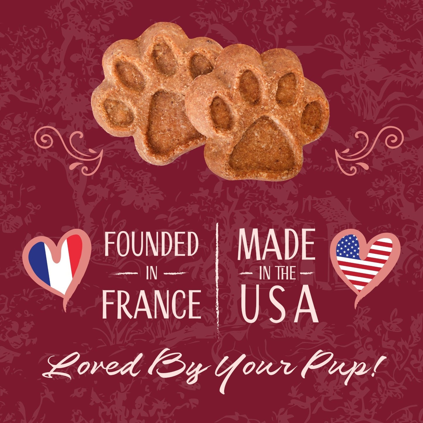 Healthy Salmon & Sweet Potato Dog Treats 8oz | Crunchy Biscuits for All Dogs, Lo4