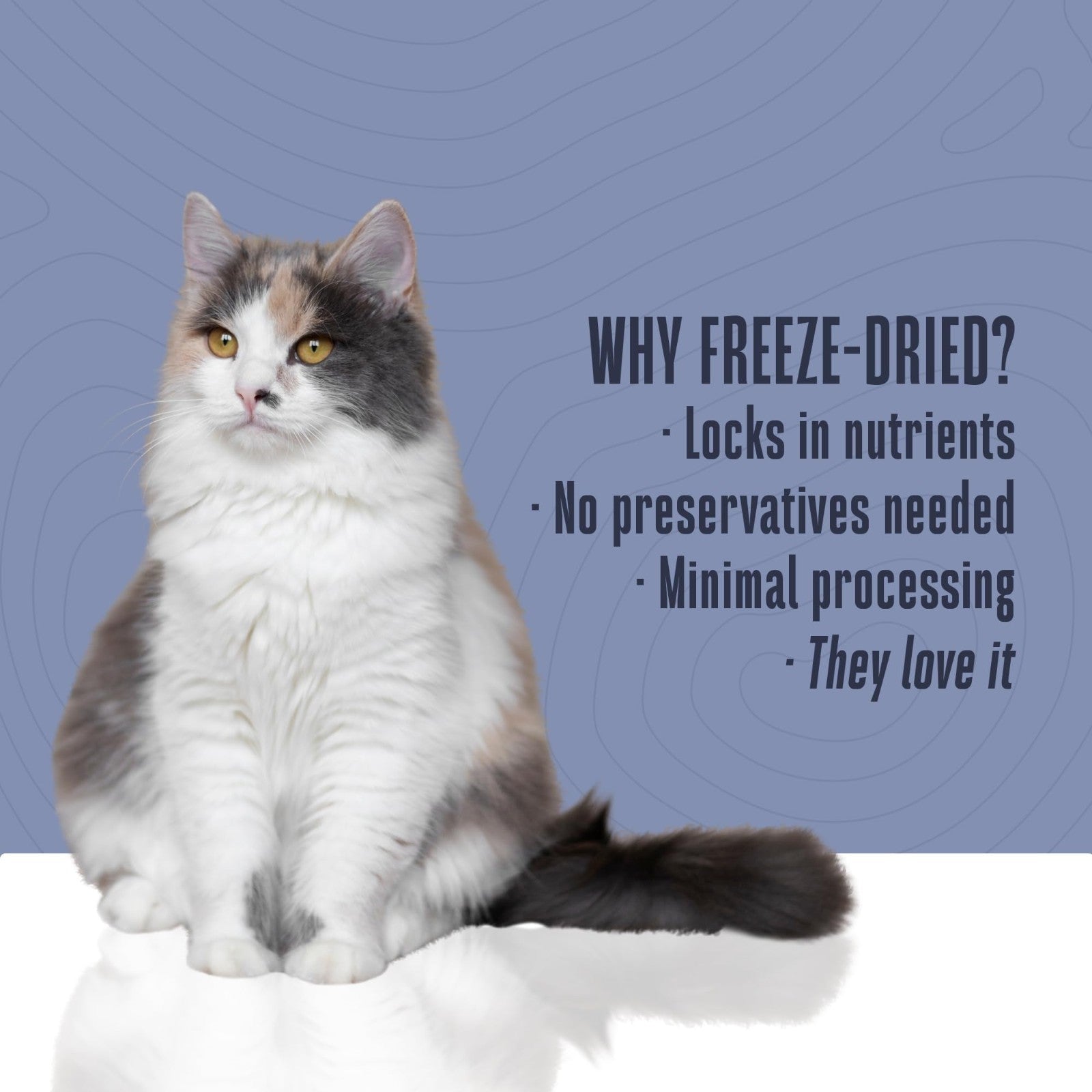 Freeze-Dried Tuna Cat Treats - High Protein, Healthy Snacks, USA Made, 7.5 oz4