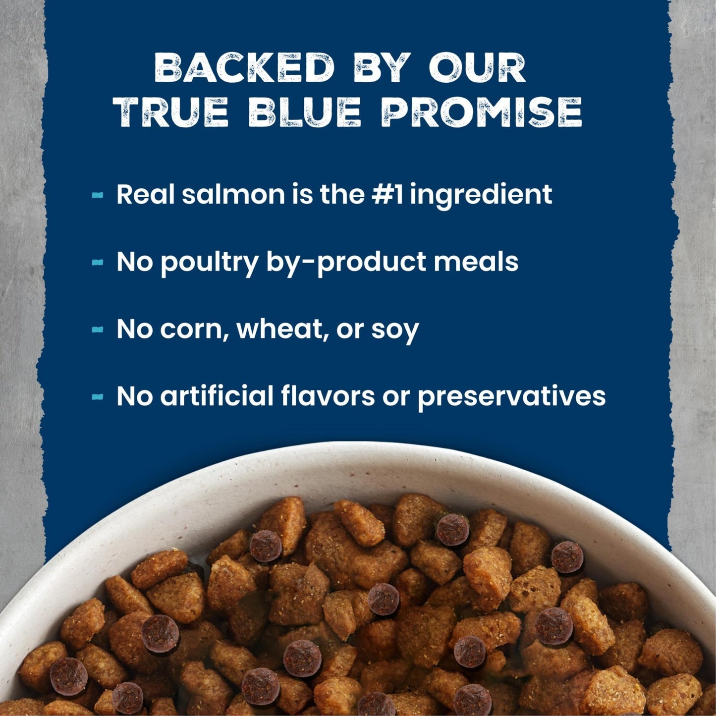 Grain Free Salmon & Wholesome Grains Adult Dry Dog Food, 28 lb   High Protein, H5