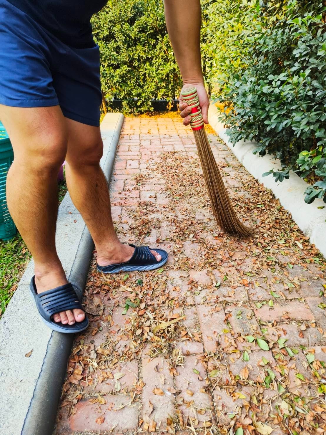32" Heavy Duty Multi-Surface Coconut Leaf Broom - Sturdy Outdoor Cleaning Tool2