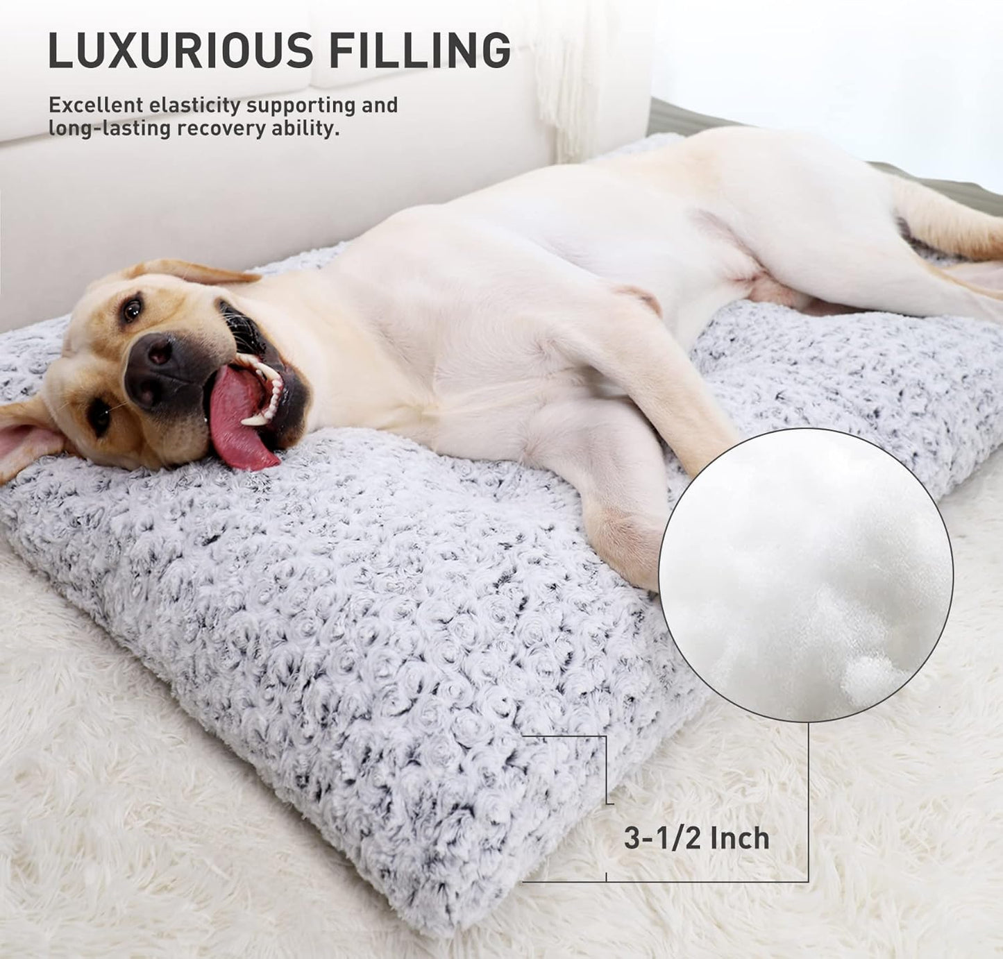 Dog Bed