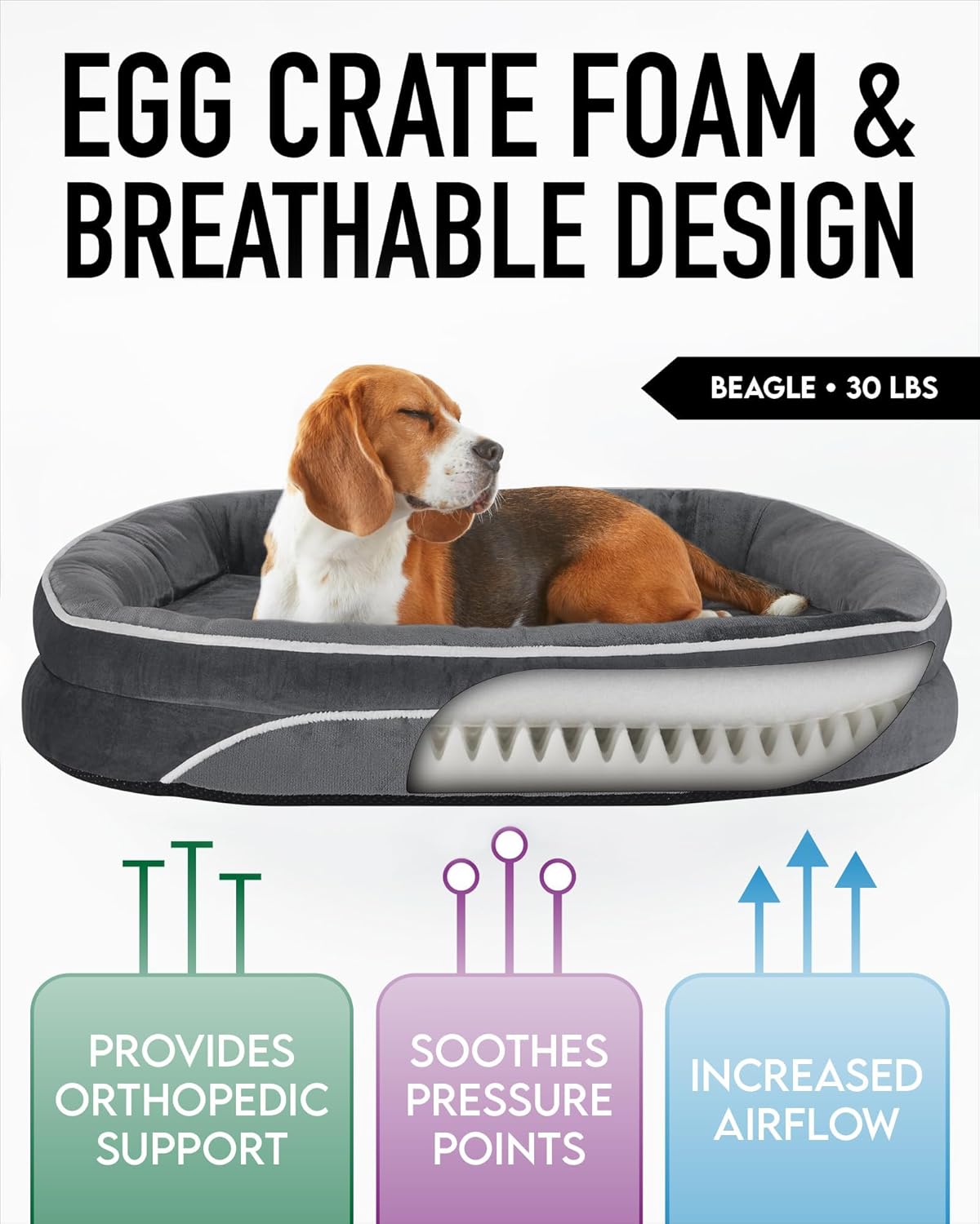 Large Dog Bed