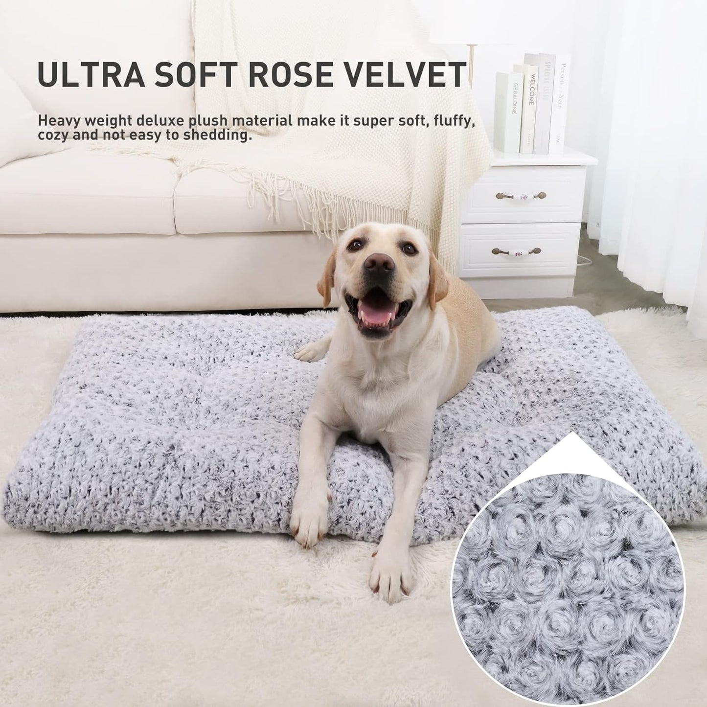 Dog Bed