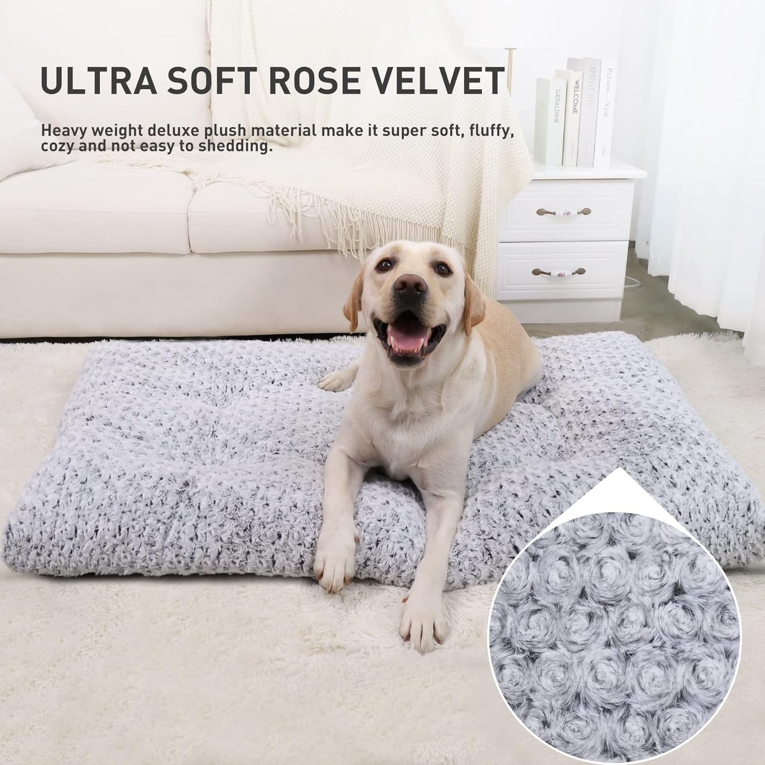 Dog Bed