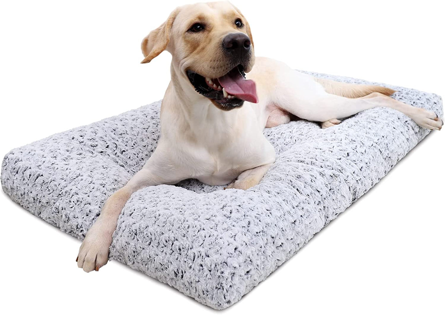 Dog Bed